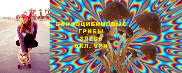 меф Алексин