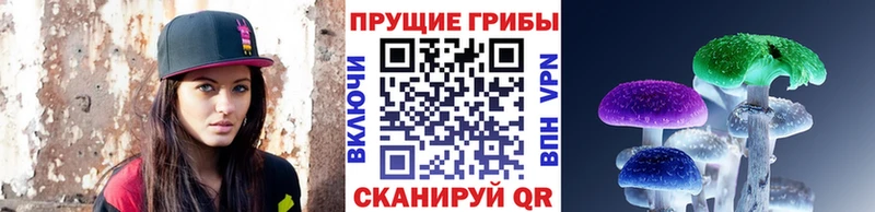 Галлюциногенные грибы Psilocybe  Моршанск 